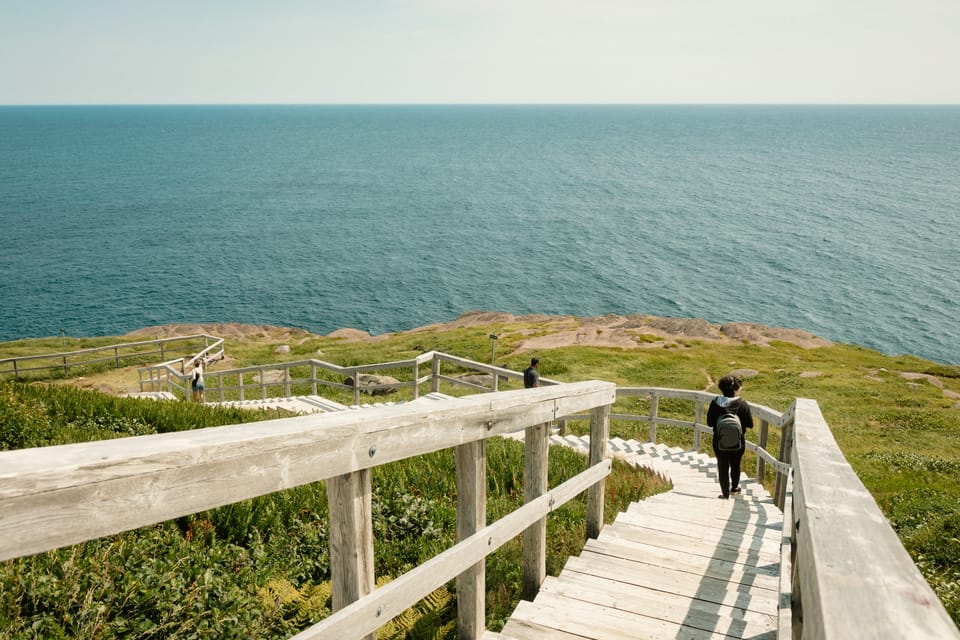 A wooden boardwalk and stairs descending a green headland toward the sea, a lone hiker below.