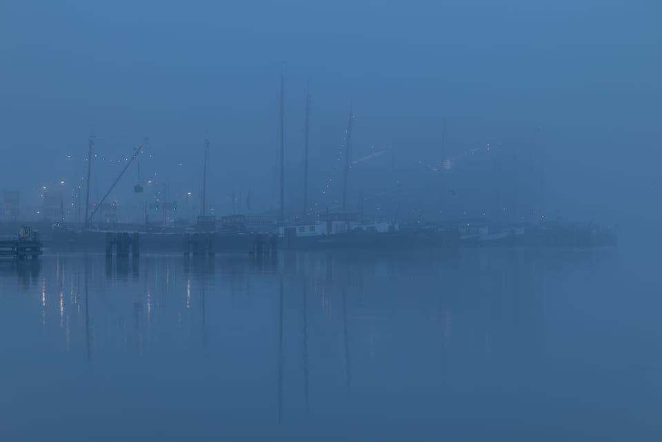 Sailboat masts in a marina wrapped in fog at blue hour.