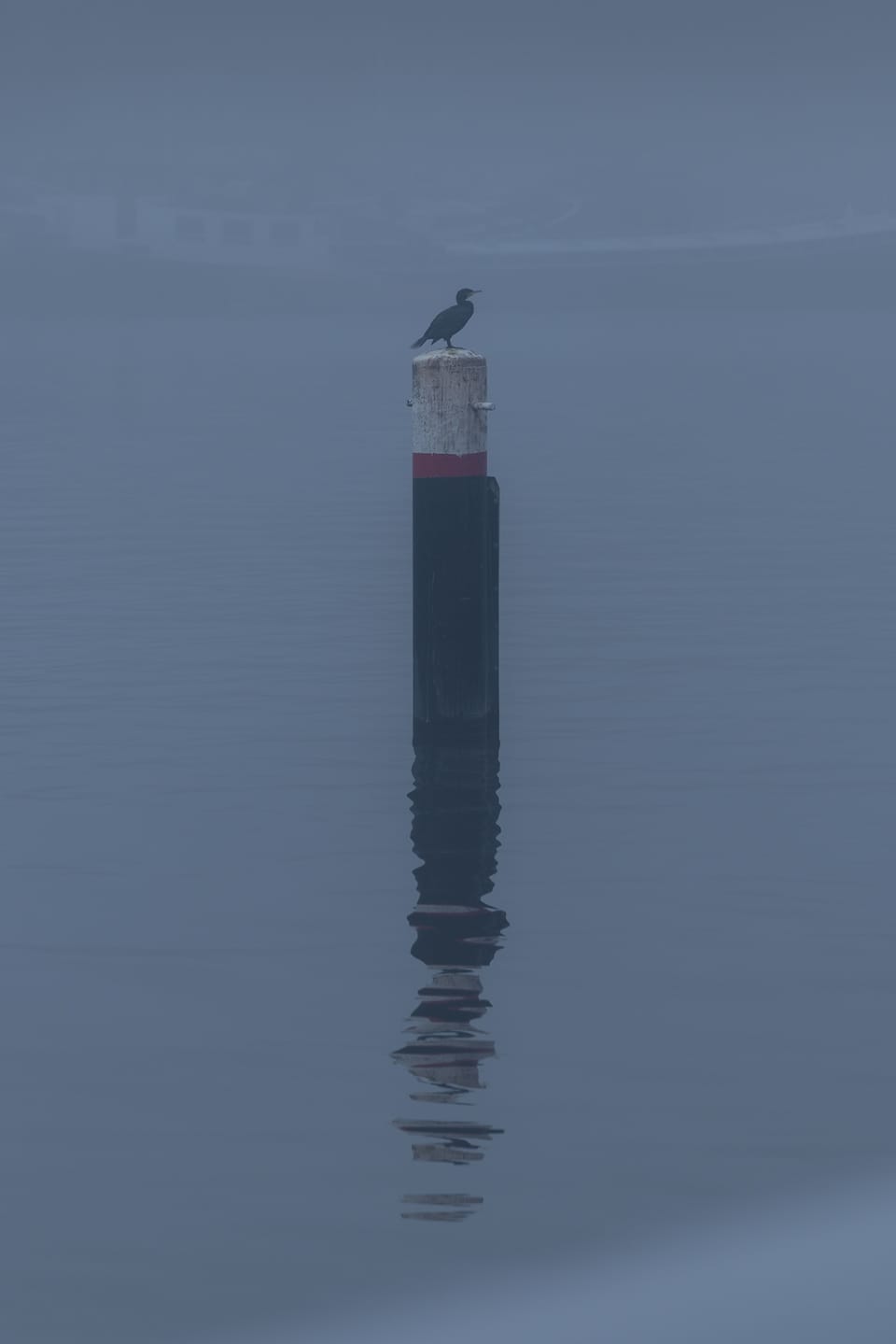 A crow perched on a red mooring post mirrored in still, foggy water.